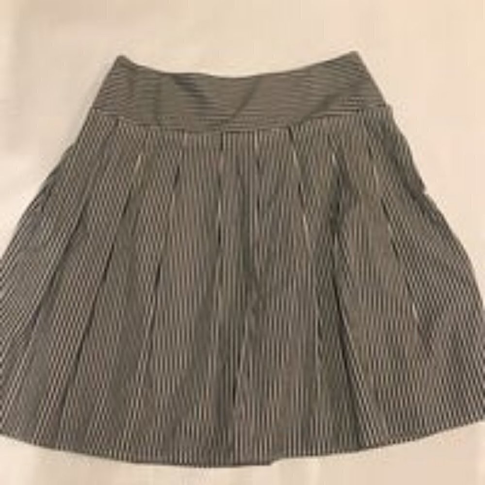Banana Republic Skirt